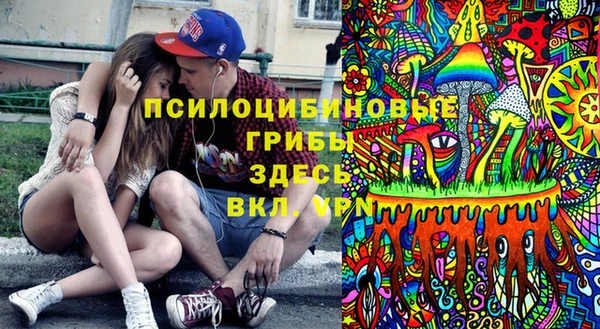 ГАЛЛЮЦИНОГЕННЫЕ ГРИБЫ Абинск